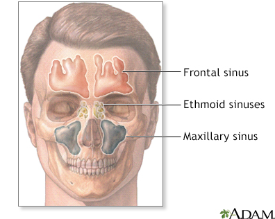 The Importance of Follow-Up Visits for Sinus Infections: Ensuring Effective Treatment