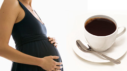 The Morning Cup - Navigating Coffee Consumption During Pregnancy