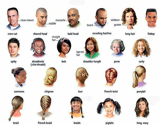 Names of different hairstyles and types of hair in English