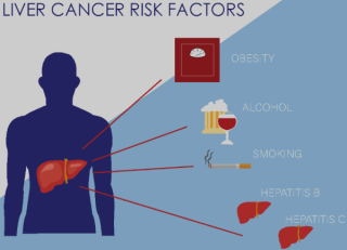 Aflatoxin: Unveiling the Hidden Threat to Liver Health