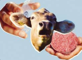 Debunking Myths: Antibiotic-Treated Livestock Meat and Pregnancy