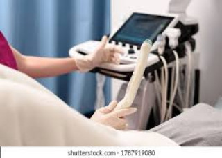 Decoding the Pelvic Exam: A Comprehensive Women's Health Assessment