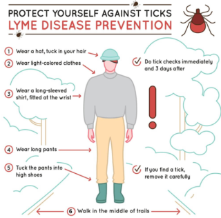 Can Lyme disease be prevented?