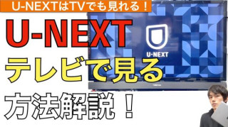 Japan's Top 10 Video Streaming Companies