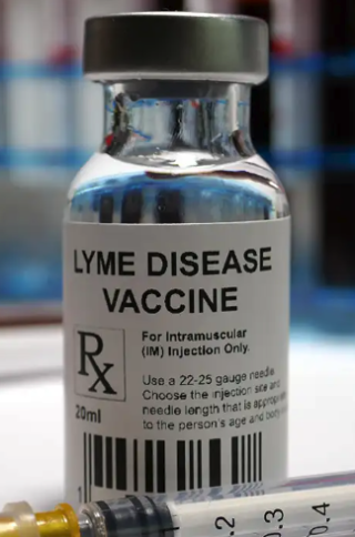 The Absence of a Lyme Disease Vaccine