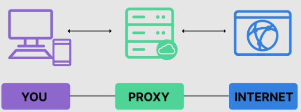 Hiding Your IP Address Made Easy: Using HTTP Proxy Servers