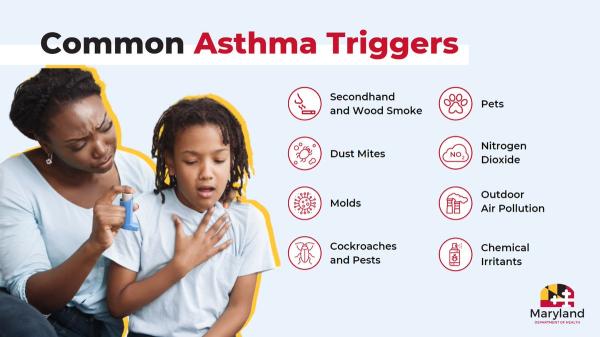 Beyond Allergens: Exploring Other Triggers for Asthma in Children