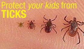 Safeguarding Little Explorers: Tips to Protect Your Baby from Ticks