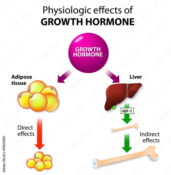 Why haven't I heard of human growth hormone before?