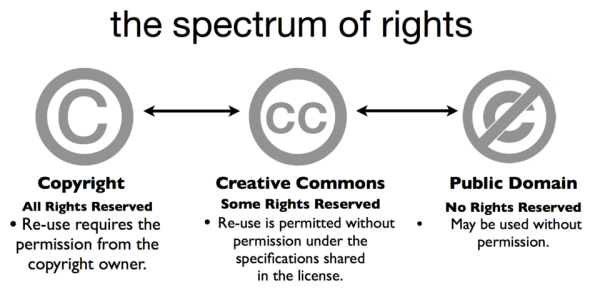 Navigating the Realm of Copyright: Safeguarding Creativity in the Digital Age