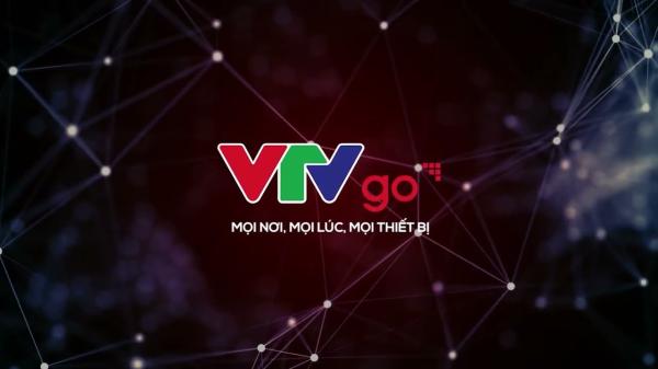 Vietnam Television (aka VTV)