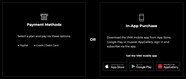 Phillippine's Top 10 Video Streaming Companies