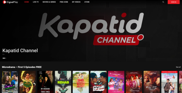 Phillippine's Top 10 Video Streaming Companies