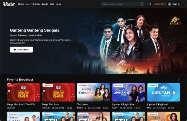 Indonesia's Top 10 Video Streaming Companies