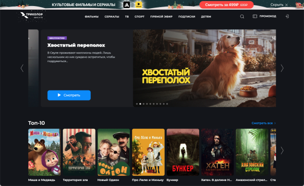 Russia's Digital Blueprint: Economy, Demographics, and Streaming Landscape