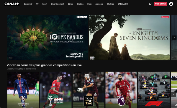 France's Digital Economy: Demographics, Trends, and Streaming Leaders