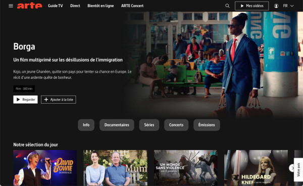 France's Digital Economy: Demographics, Trends, and Streaming Leaders